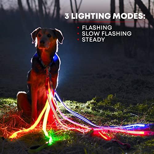 Illumiseen LED Light Up up רצועת כלבים | נראות גבוהה במיוחד של עד 350 מטר | 3 מצבי תאורה | USB נטען, אין צורך בסוללות | ידית מרופדת ואבזם מסתובב מסתובב כדי למנוע סבך רצועה